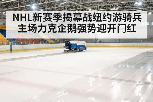 hockey rink arena