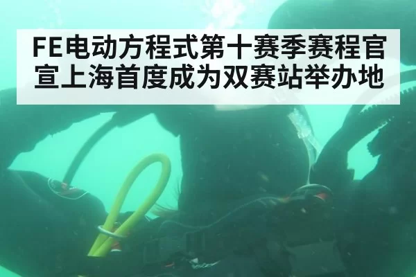 FE电动方程式第十赛季赛程官宣上海首度成为双赛站举办地
